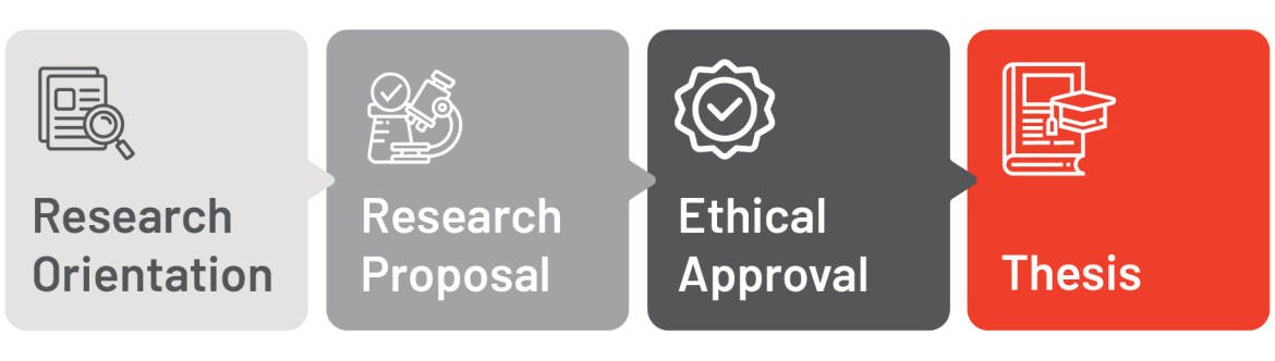 PhD course structure